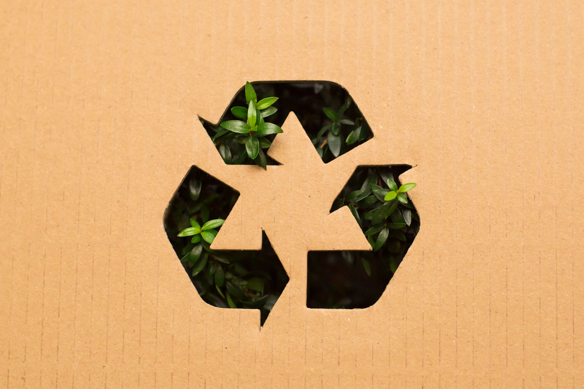 Why Communicating Sustainability on Packaging Matters